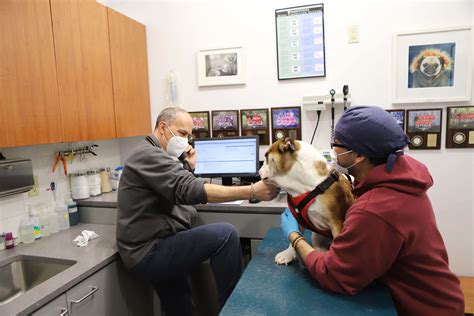 West chelsea vet - West Chelsea Veterinary is proud to offer your dog/cat wellness services. Bring your pet in to get seen by one of our experienced veterinarians! 212-645-2767 info@westchelseavet.com 
